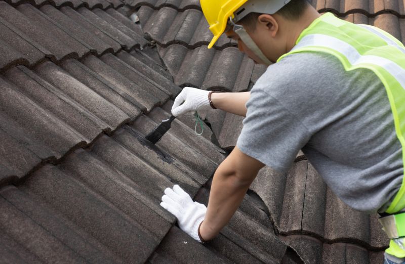 Roofing Maintenance